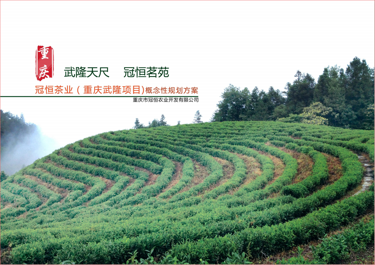 重慶冠恒項目規劃概念