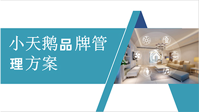小天鵝品牌管理方案