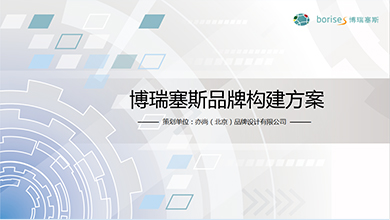 博瑞塞斯品牌構(gòu)建案