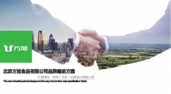 方旭食品品牌構(gòu)建方案